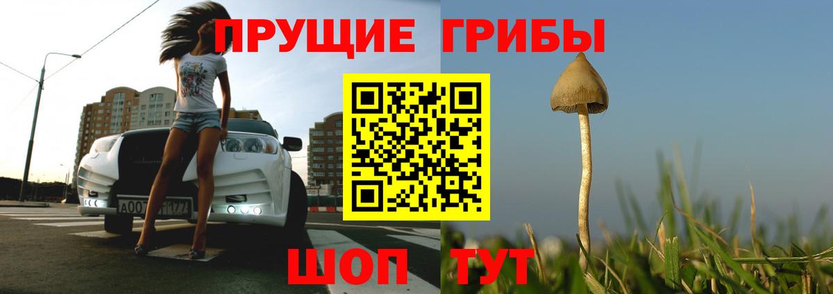 Галлюциногенные грибы Magic Shrooms  Вход с VPN  Волжский 